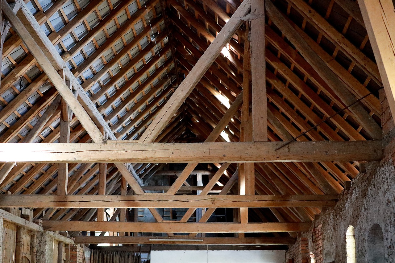 Welches Holz für Carport?