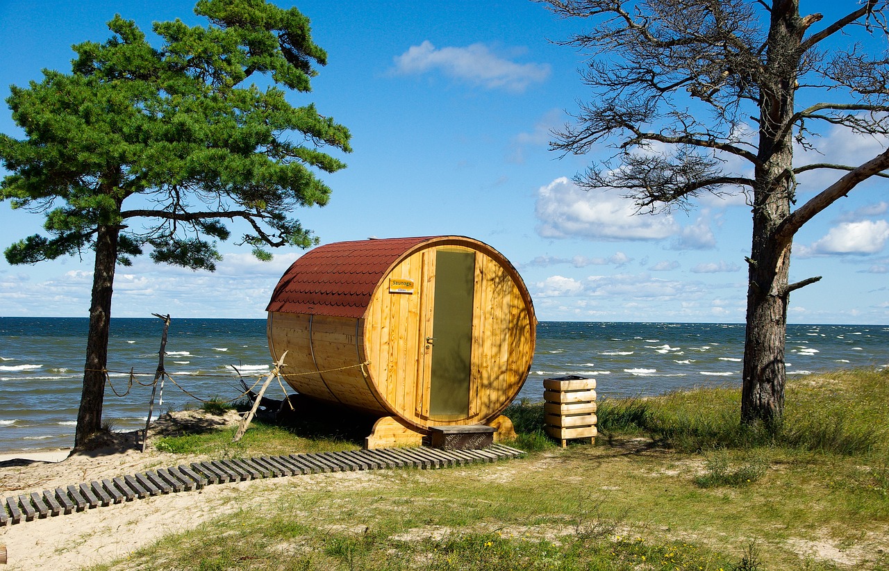 Elektrische Sauna vs. Holzofen-Sauna – welche wählen?